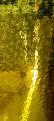 Hoja de Vidrio 160Y AMARILLO